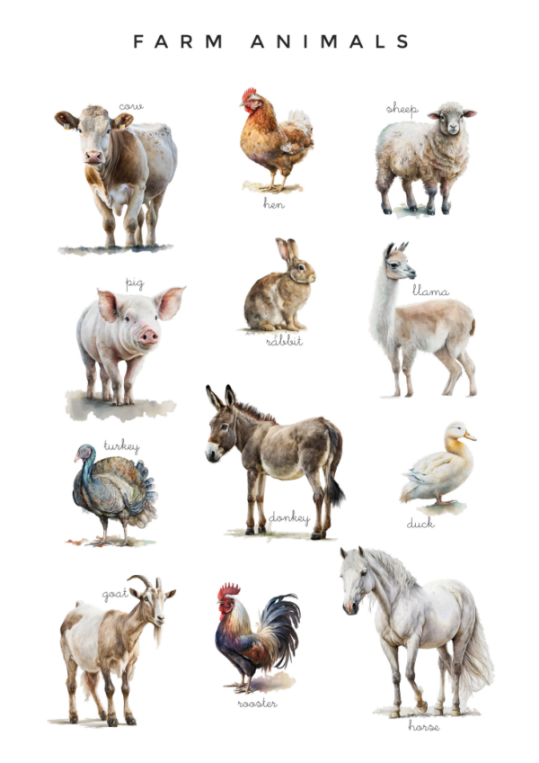 Animal Classroom Posters - Image 2