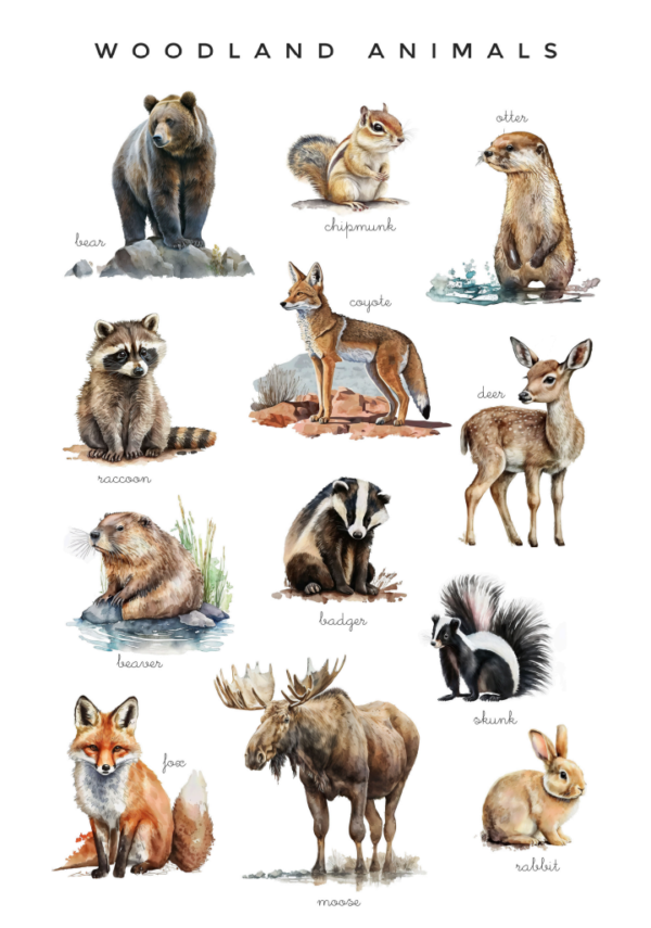 Animal Classroom Posters - Image 3