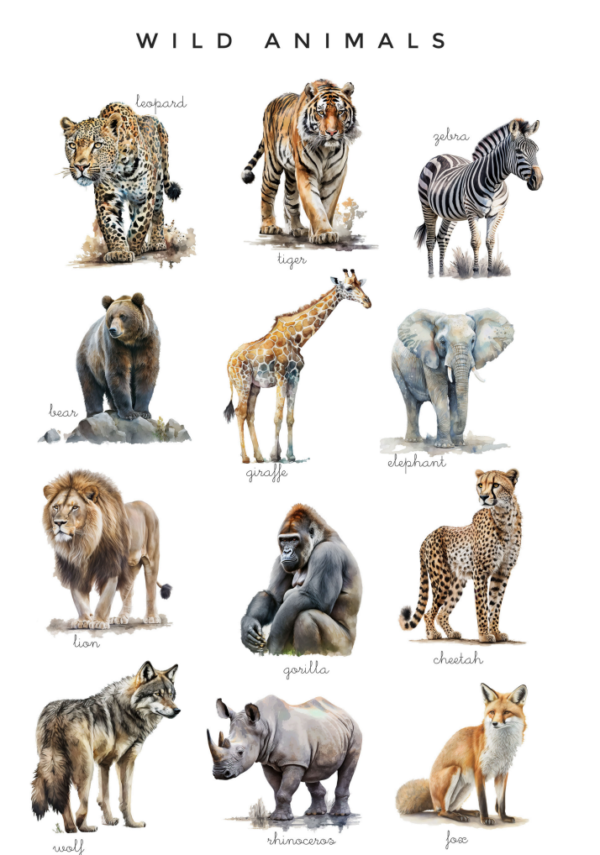 Animal Classroom Posters