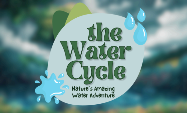 The Water Cycle: Nature’s Amazing Water Adventure