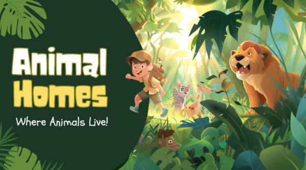 Animal Homes: Where Animals Live! - Image 2