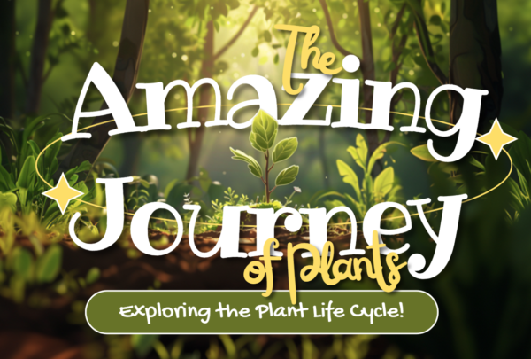 The Amazing Journey of Plants: Exploring the Plant Life Cycle