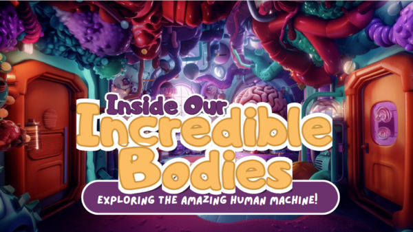 Inside Our Incredible Bodies Exploring the Amazing Human Machine!