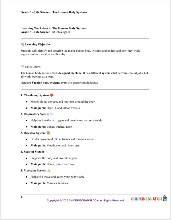 Grade 5 Life Science Reading: The Human Body Systems