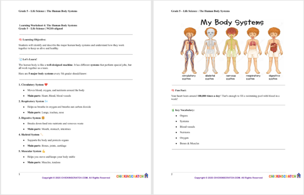 Grade 5 Life Science Reading: The Human Body Systems - Image 2