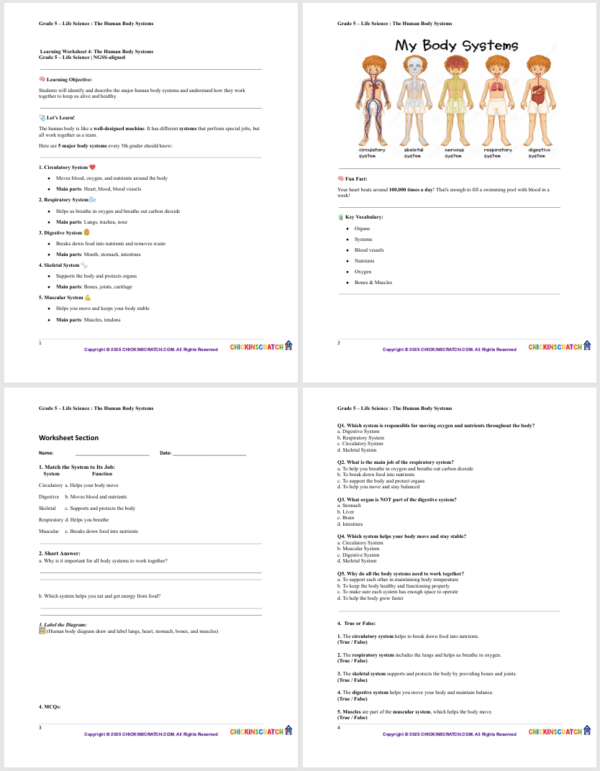 Grade 5 Life Science Reading: The Human Body Systems - Image 3