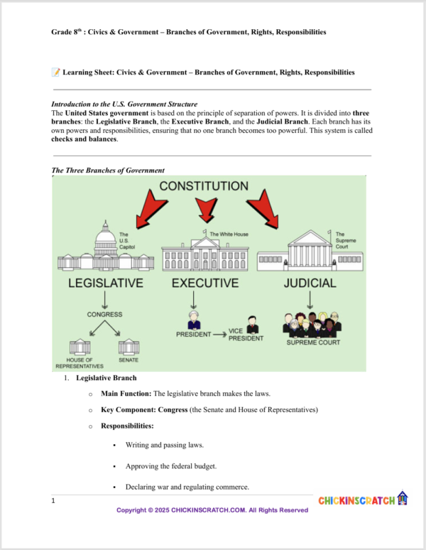 Grade 8 Civics & Government: Branches of Government, Rights, and Responsibilities