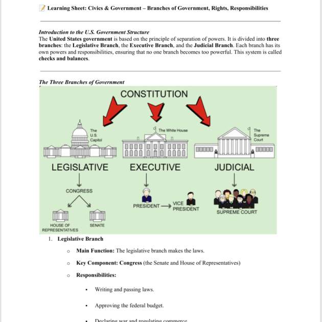 Grade 8 Civics & Government: Branches of Government, Rights, and Responsibilities