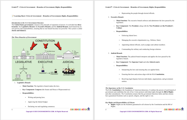 Grade 8 Civics & Government: Branches of Government, Rights, and Responsibilities - Image 2