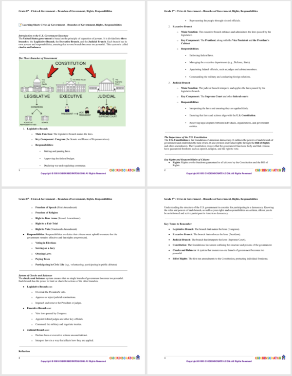 Grade 8 Civics & Government: Branches of Government, Rights, and Responsibilities - Image 3