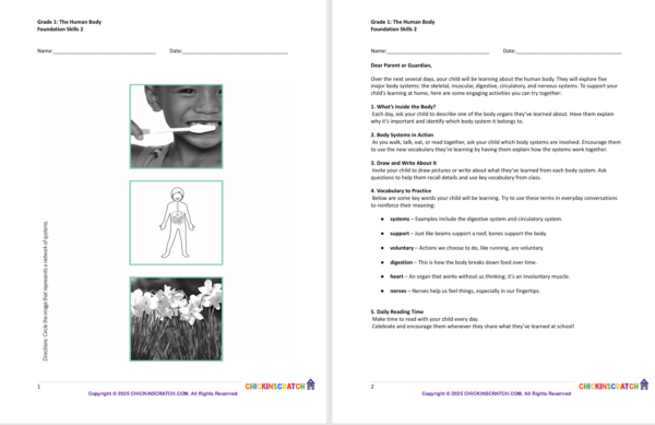 Grade 1: The Human Body Worksheets Foundation Skills 2 - Image 2